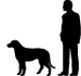 size of a Saint Bernard Boxer Collie mixed breed dog