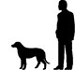 height of a samoyed dog