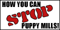 how to stop puppy mills
