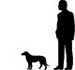 height of a brazilian terrier dog