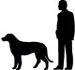 height of a St. Bernard dog