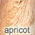 apricot dog coat color
