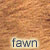 fawn dog coat color