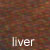 liver dog coat color