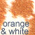 orange and white dog coat color