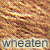 wheaten dog coat color