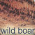 wild boar dog coat color